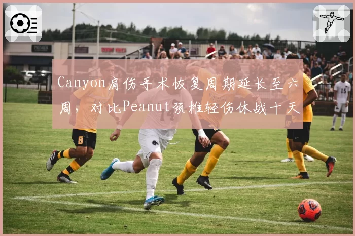Canyon肩伤手术恢复周期延长至六周，对比Peanut颈椎轻伤休战十天战队依赖度对比