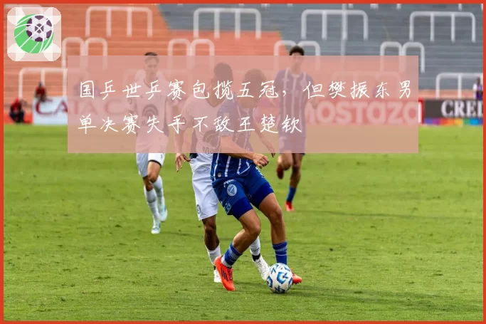 国乒世乒赛包揽五冠，但樊振东男单决赛失手不敌王楚钦