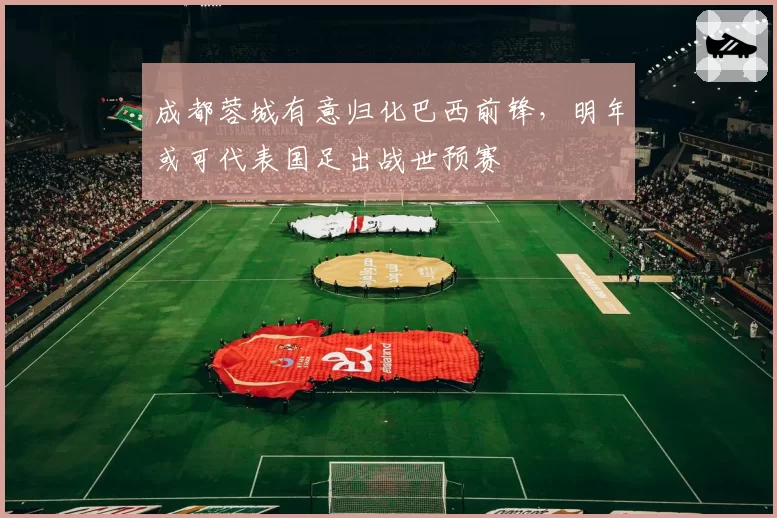 成都蓉城有意归化巴西前锋，明年或可代表国足出战世预赛