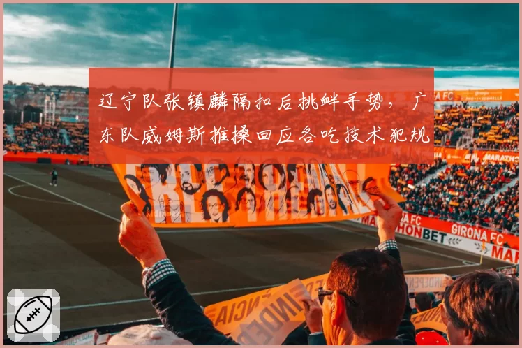 辽宁队张镇麟隔扣后挑衅手势，广东队威姆斯推搡回应各吃技术犯规