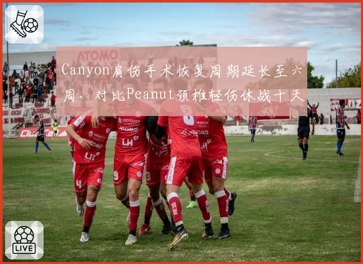 Canyon肩伤手术恢复周期延长至六周，对比Peanut颈椎轻伤休战十天战队依赖度对比